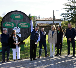 La Familia Real junto al resto de autoridades y personalidades observan el escanciado de la sidra